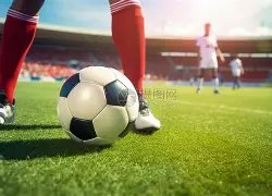 杨澜庆祝,岁生日,与丈夫甜蜜,芒果体育平台,芒果体育官方网站,芒果体育登录入口,芒果体育app下载