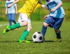 河南篮球赛,高比分胜出,胜利主帅却,芒果体育平台,芒果体育官方网站,芒果体育登录入口,芒果体育app下载