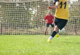 万步健身行,志愿服务与,双进,芒果体育平台,芒果体育官方网站,芒果体育登录入口,芒果体育app下载