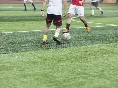 韩棋坛新规,风波,党毅飞,芒果体育平台,芒果体育官方网站,芒果体育登录入口,芒果体育app下载