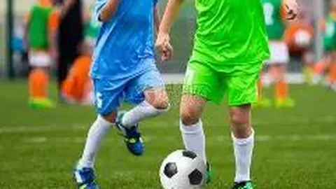 芒果体育 产品 095700 wfb