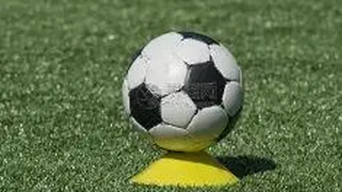 芒果体育 产品 095244 i58