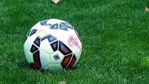 芒果体育 资讯 095248 inc