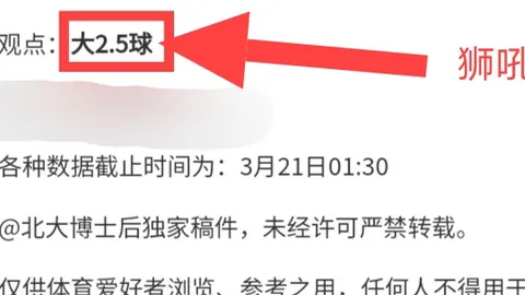 澳超赛事解析：内含比分及胜负分析