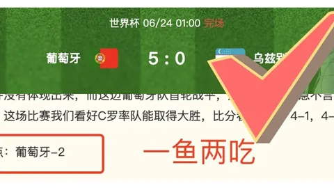 芒果体育 101125 74