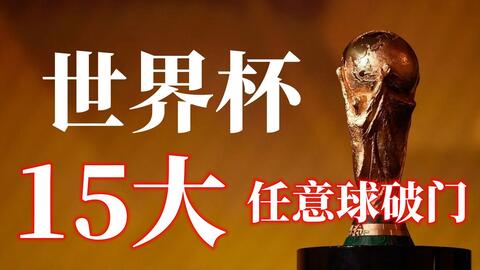 挥尤为亮眼
